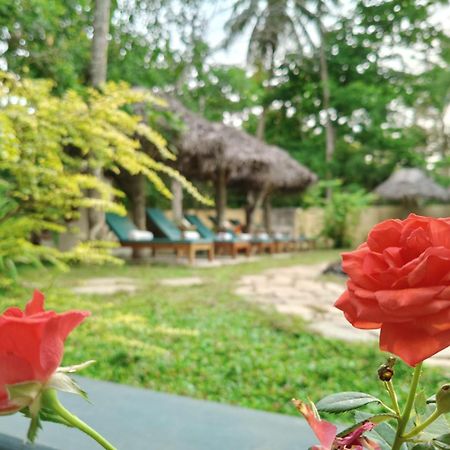 Marari Beach Bungalow Resort Alleppey Mararikulam Ngoại thất bức ảnh