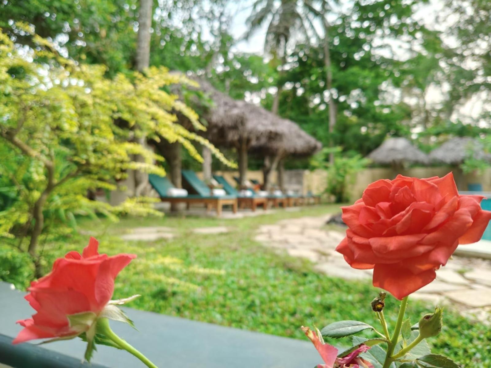 Marari Beach Bungalow Resort Alleppey Mararikulam Ngoại thất bức ảnh